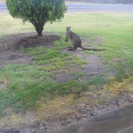 Motel Dimboola Bagian luar foto