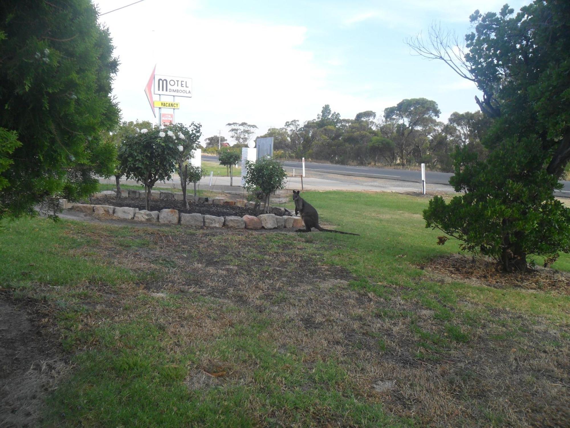 Motel Dimboola Bagian luar foto